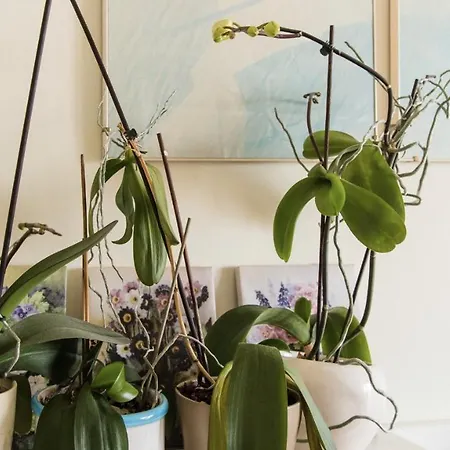 Ampio Vicino A Stazione E Centro Storico Apartamento Rimini