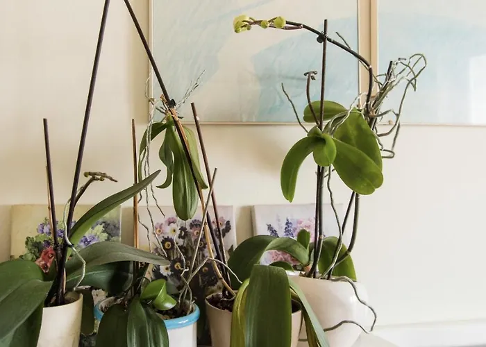 Ampio Vicino A Stazione E Centro Storico Apartamento Rímini